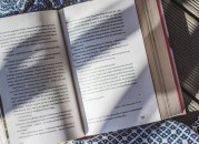 私人有限公司 vs 公众公司：香港公司类型选择依据